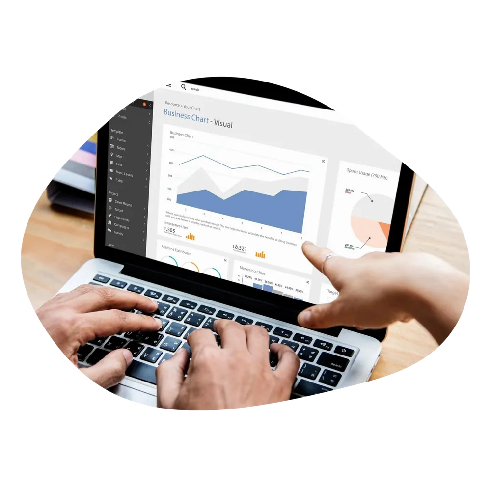 Análisis de resultados de campañas digitales